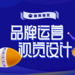 椰果视觉 品牌运营设计第五期【画质高清2019年9月】