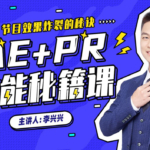 向天歌李兴兴AE+Pr高能秘籍课完整有素材