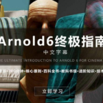 Arnold6 阿诺德终极指南【中文字幕画质高清有工程文件】