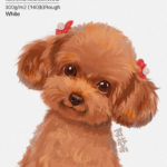 阿花宠物团练2021年7月结课ipad插画课【画质高清有笔刷素材】